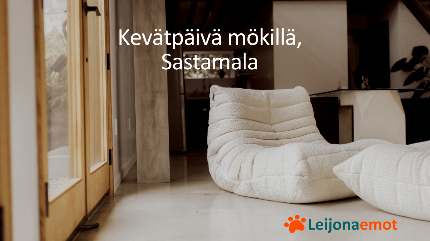 Kuvassa kaksi houkuttelevan näköistä valkoista säkkituolia odottavat istujia. Kuvassa näkyvässä huoneessa on rauhallinen tunnelma. Valkoisella värillä teksti: kevätpäivä mökillä, Sastamala. Kuvan oikeassa alareunassa on Leijonaemojen värikäs tassulogo.