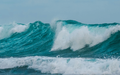 Toivo arjen aallokossa – Vanhemman ääni