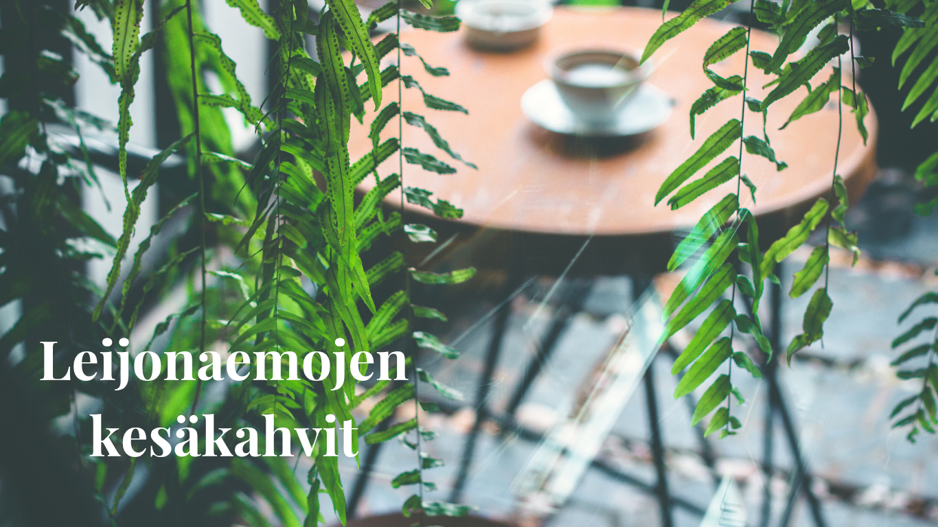 Pöydällä kaksi kahvikuppia, etualalla viherkasvi.